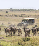 Kenia, Africa