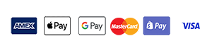 Logo Payment